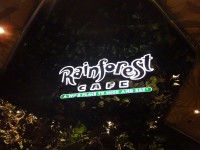 Rainforest Cafe Las Vegas
