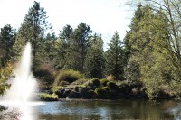 VanDusen-Botanical-Garden-Lake.jpg