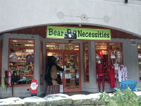 Bear Necessities Whistler Exterior