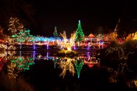 VanDusen-Botanical-Garden-Night-Winter.jpg