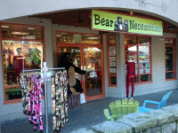 Bear Necessities Whistler Exterior