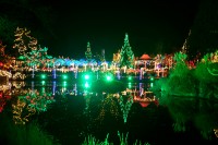 VanDusen-Botanical-Garden-Night.jpg